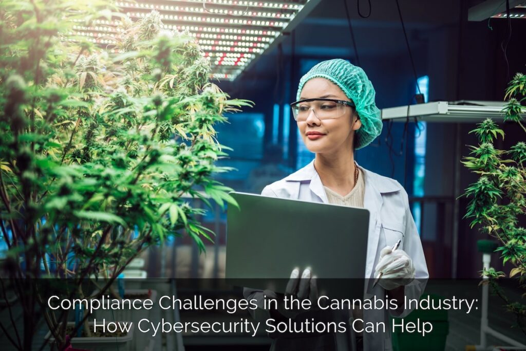 Discover how cannabis industry compliance cybersecurity helps businesses protect sensitive data effectively.